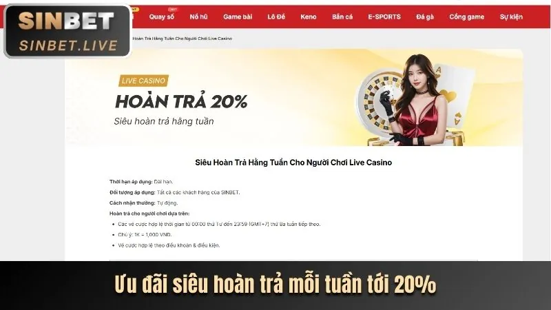 Chương trình VIP và thưởng sinh nhật tg88